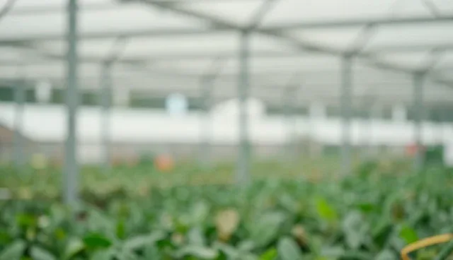 同城配送定制化方案使用与维护建议